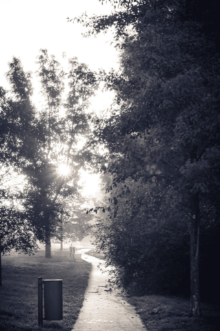 Lippepark