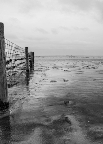Foto eines Zaunes im Watt. Durch das sehr flache Wasser kann man noch Boden sehen