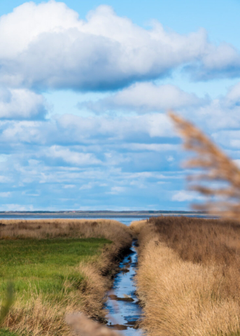 Foto eines Entwässerungsgrabens an der Nordseeküste