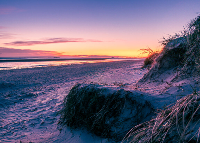 Foto eines Sonnenaufgangs am Meer. Im Vordergrund am rechten Bildrand sind Dünenausläufer.
